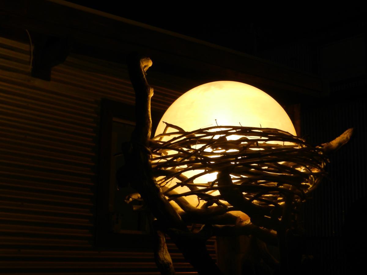 Nido De Luna El Calafate Dış mekan fotoğraf